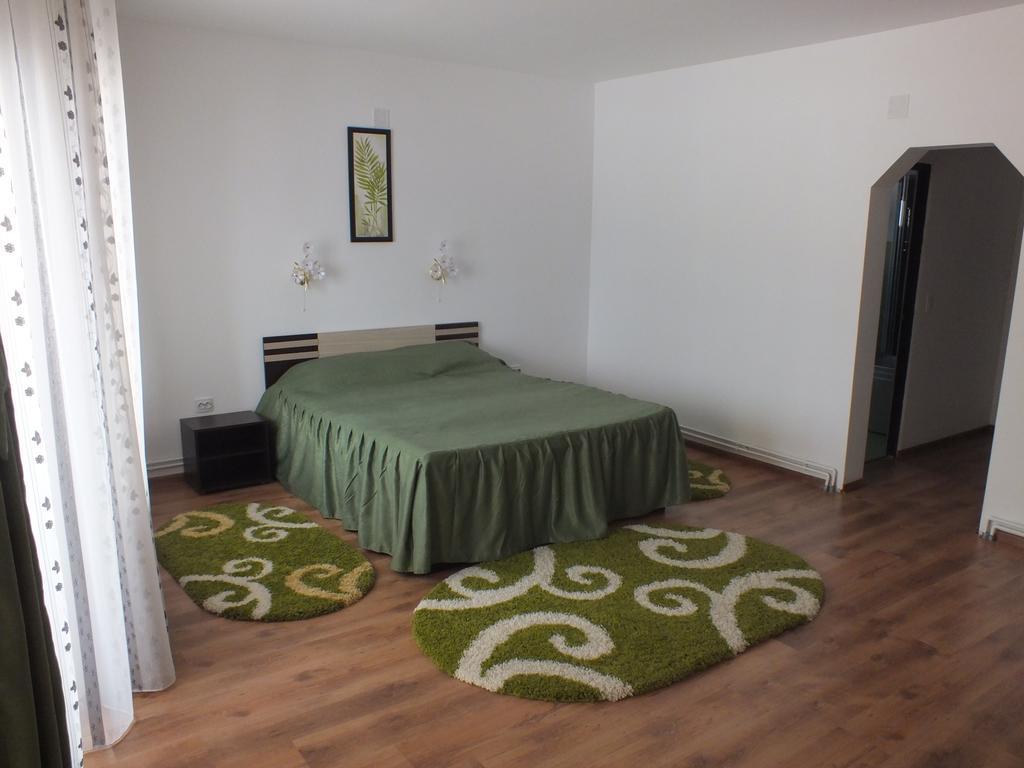 Pensiunea Eliza Hotel Podu Cosnii Phòng bức ảnh